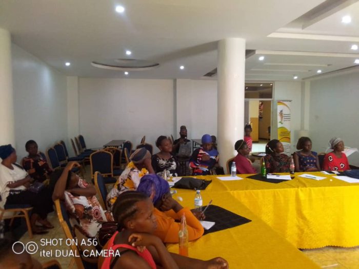 MYDEL workshop on drugs among the pregnant mothers